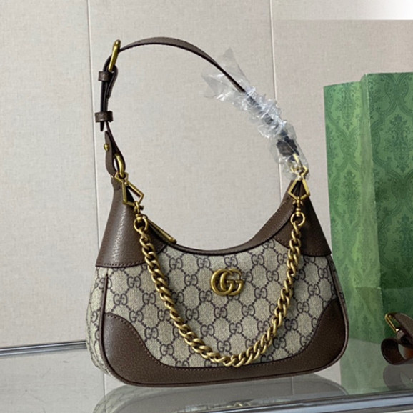 Gu1116 Bolsa Portátil de Um Ombro para Mensageiro de Um Ombro Bolsa para Senhoras Elegante