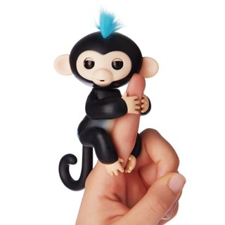 Fingerling monkey hot sale