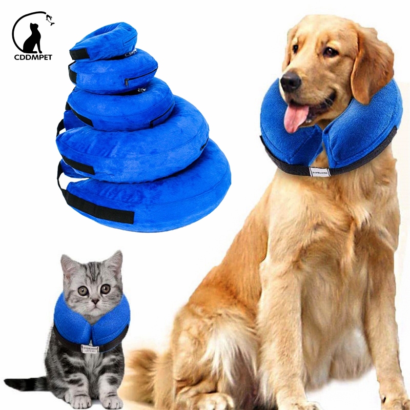 Coleira Gato Inflável Para Cães Cachorro De Estimação Protetor Círculo Pescoço Proteção Anti-mordida