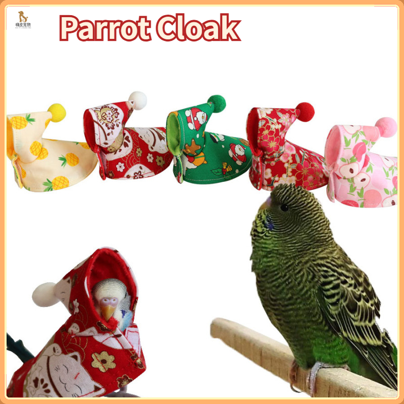 Capa de papagaio/Papagaio roupas ao ar livre/Papagaio foto roupas/Roupa ...