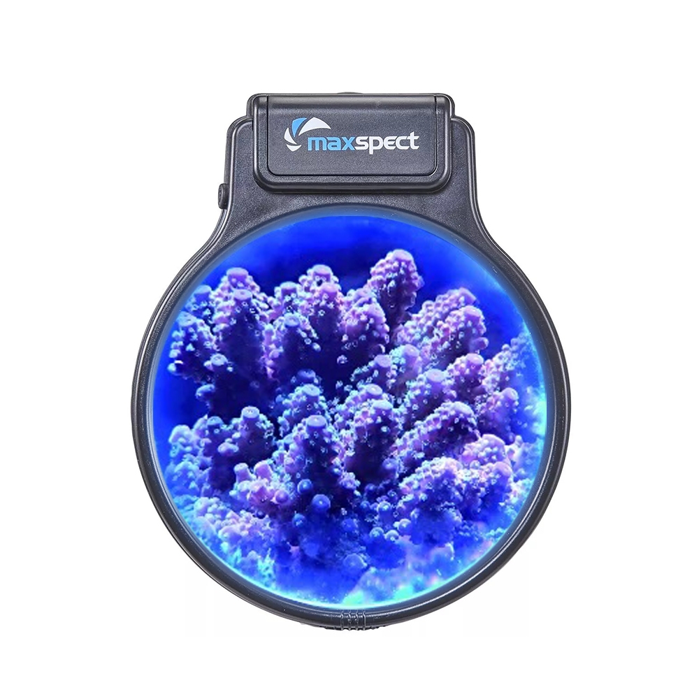 Aquário Peixe Marinho Coral Visão Noturna DeepSee Pastel Lupa De 3/4 Vezes Ampliação Óptica Para Mostrar Decoração Da Barbatana