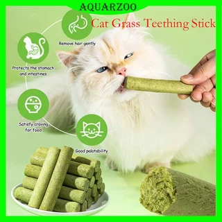 AQUARZOO Palitos De Grama De Gato Para Gatos De Interior Mastigar Cuidados Com Os Dentes Aumentar O Apetite Bola De Pêlo Brinquedo