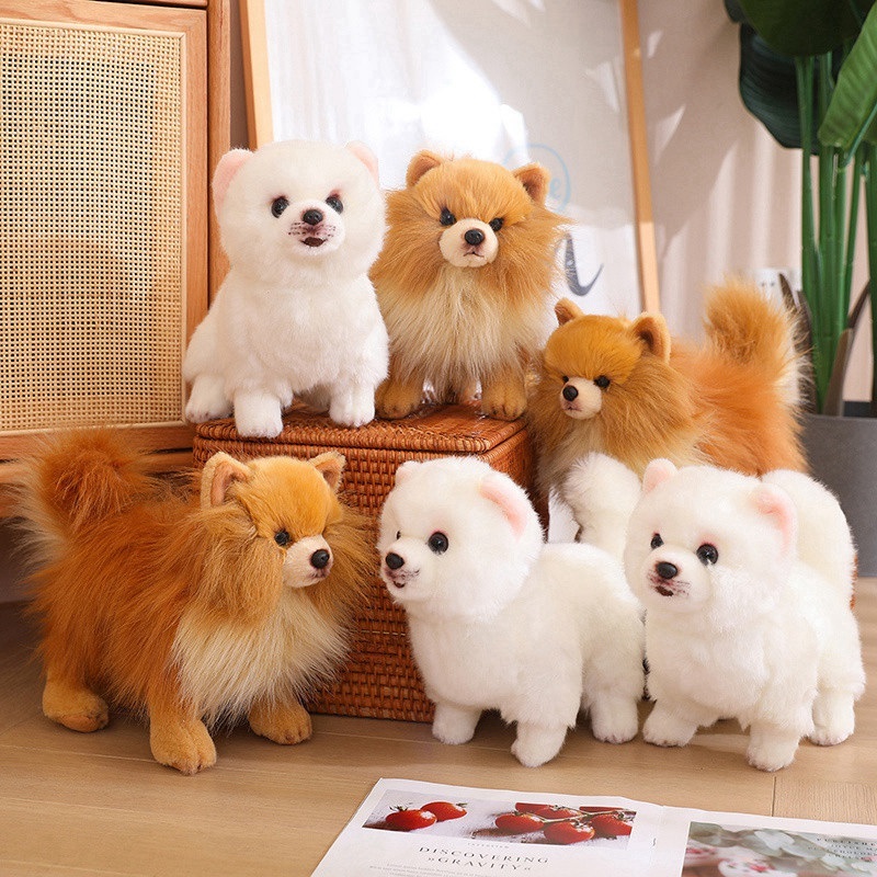 Novo Cão Pomerânia Premium Cute Plush Pomeranian Dog Real Life Toy Stuffed Animals Bonecas De Pelúcia Macias Para Cachorros De Estimação Meninas Presente Adorável