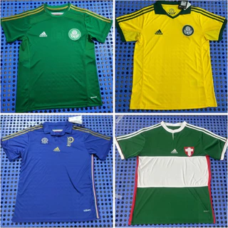 Retro 2014 Camisa De Futebol Masculino Palmeiras Series 1 : 1