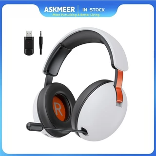BL500 PRO 2.4GHz USB Dongle Wireless Bluetooth Headset Music PC PS4 PS5 phone with microphone