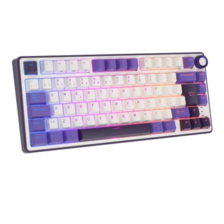 RK Royal Kludge RKR75 Blackberry Teclado Mecânico Com Fio Junta Portuguesa