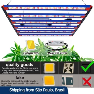 Samsunglm301h EVO LED Grow Light Bar 240W 320W Meanwell Driver crescente lâmpada para planta interior Flower Greenhouse