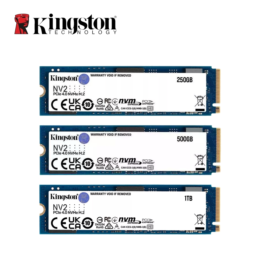 Disco Rigido Interno 2.5″ Per Laptop – 250GB, 500GB O 1TB – Con Windows 10 Pro Preinstallato