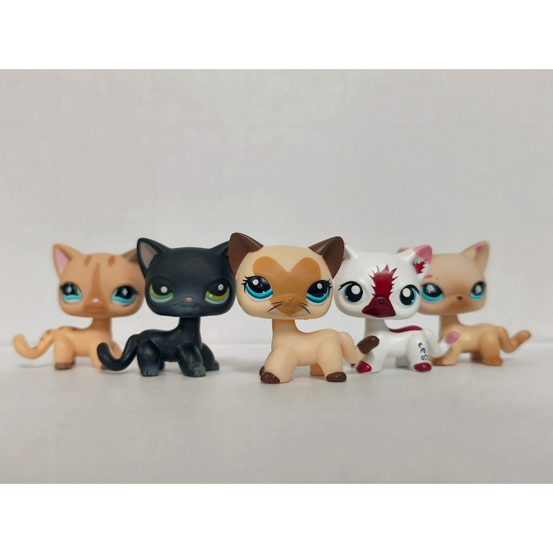 5 Pçs/Lote LPS Figura Cabelo Curto Gato # 886 336 Brinquedo Infantil Da ...