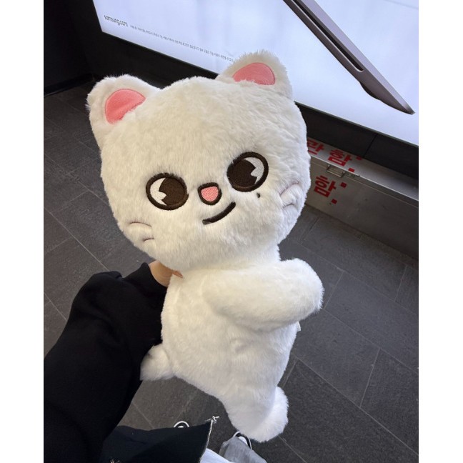 SKZOO Stray Kids Bolsa Crossbody K-pop Idol SKZ Fãs Presente De