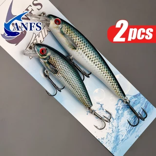 2 Pçs Colorido Afundando Minnow Iscas De Pesca-Design Realista Artificiais Com Padrões Vibrantes Para Em Água Salgada De