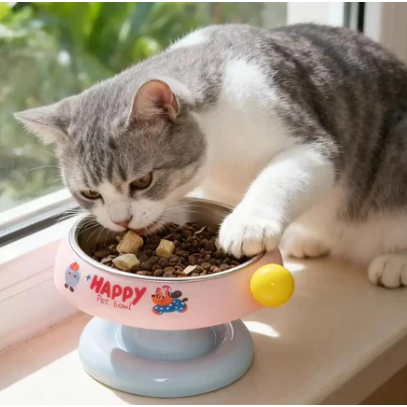 Comedouro Tigela Bebedouro Pet Elevado Alto com Inox Cães e Gatos 300ml