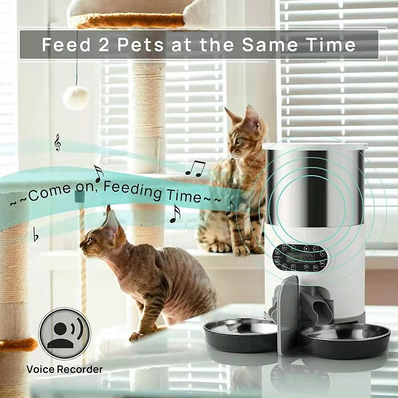 Alimentador de boca oblíquo de grande capacidade para animais de estimação,  tigela de comida, alimentador para cães e gatos, desenhos animados fofos -  AliExpress