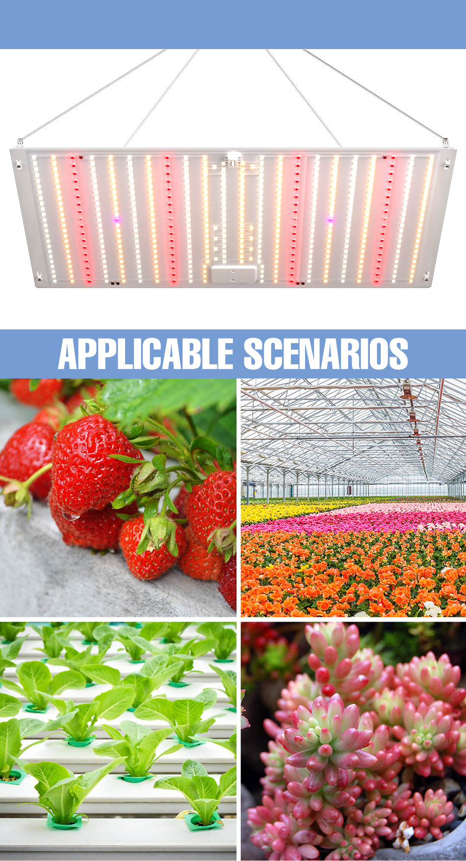 2000W Full Spectrum LED Grow Light Luz Solar Green Plant Lamp AC100 ...