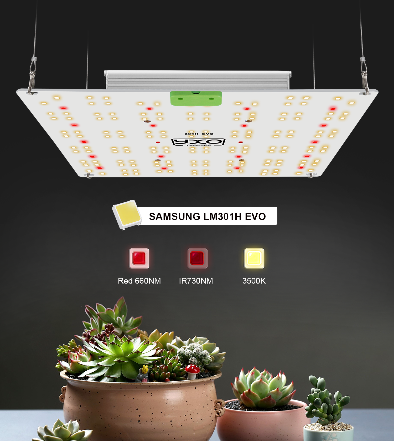 Quântica board 65W 85W 120W SamsungLM301H EVO Com Espectro Total