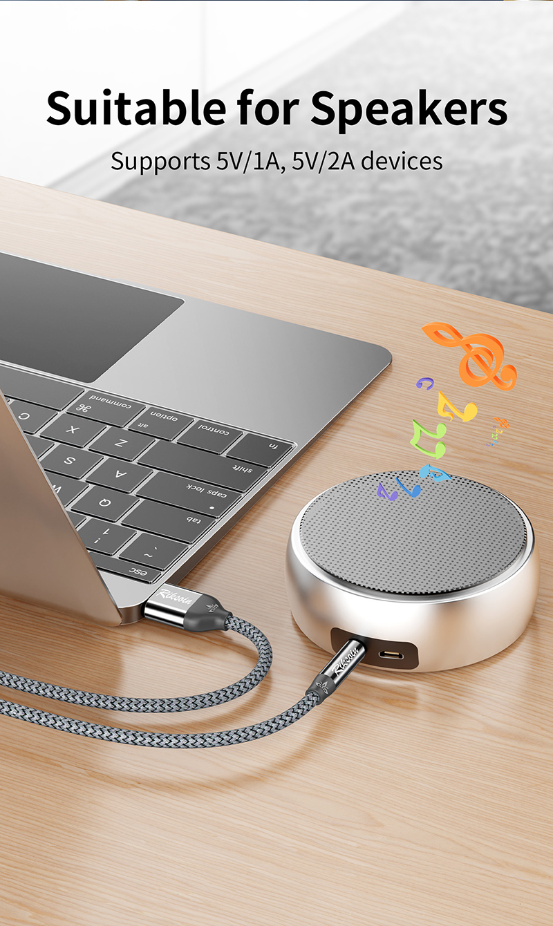Cabo Riksoin USB-C 5V para 3,5mm para caixas de TV e sistemas de som ...