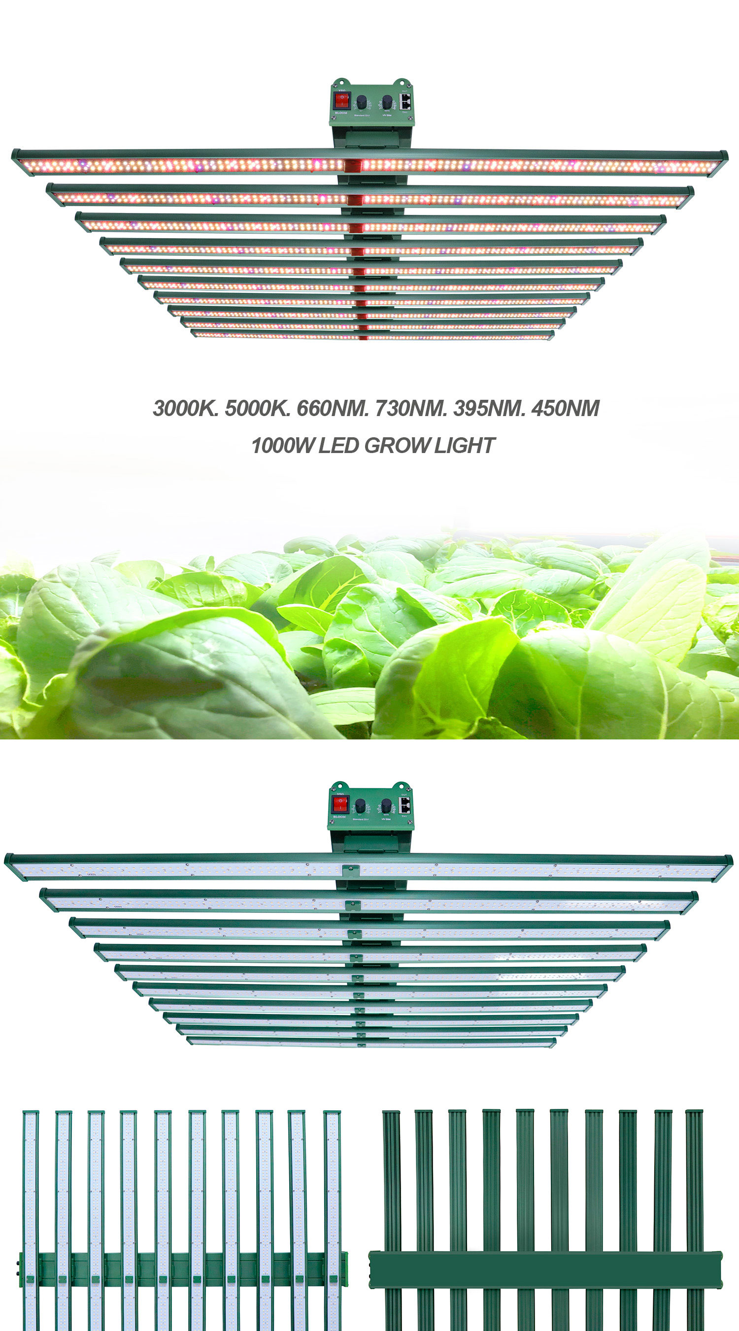 Led grow light Samsung LM301H EVO 1000W Cresce A Luz Com Modos De ...