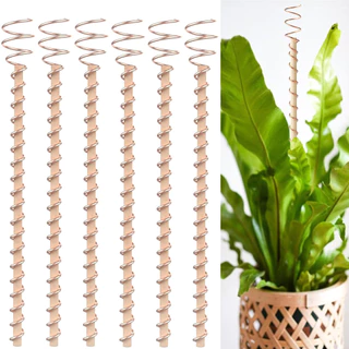 6pcs 11.8in Estacas De Plantas De Eletrocultura Para Cultivo E Vegetais De Jardim em Oferta na Shopee
