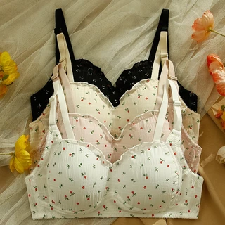Sutiã Push-Up Sem Fio Petite Damasco-Bralette Branco Doce Adolescente Para Bustos Pequenos em Oferta na Shopee