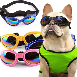 1PC Adorável Cão De Estimação Óculos Produtos Para Animais Legal De Sol Brinquedo Fotos Acessórios Colorido