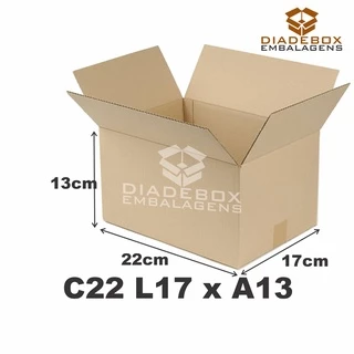 25 Caixas de Papelão Medida 22x17x13 Correios Sedex