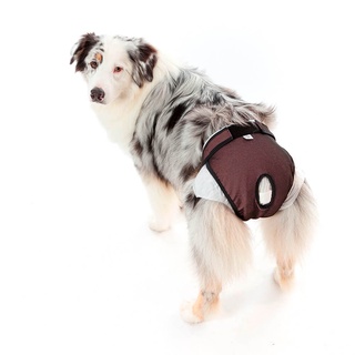 Protetor Higiênico P/ Fralda E Cio Cão Reutilizável N° 6 - Rosa