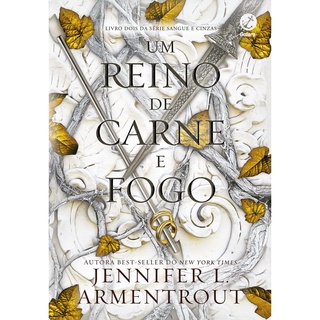 UM REINO DE CARNE E FOGO - VOL 2 - GALERA