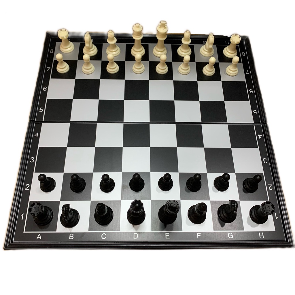 Jogo de xadrez filosófico 26 cm