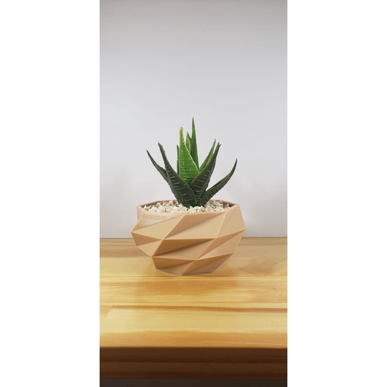 Vasos Geométrico Para Suculentas