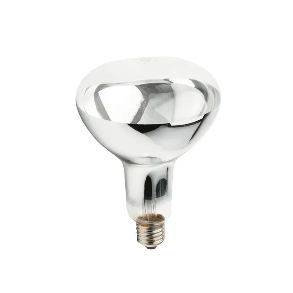 Lâmpada De Secagem Aquecer Tintas Estufa 250w 127v Brasfort