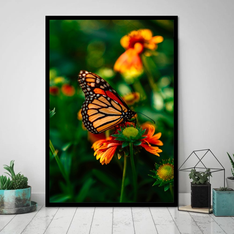 Quadro decorativo A4 BORBOLETA, natureza, butterfly, VIDA