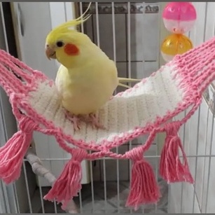 Rede para calopsita / rede de croche / brinquedo para calopsita ...