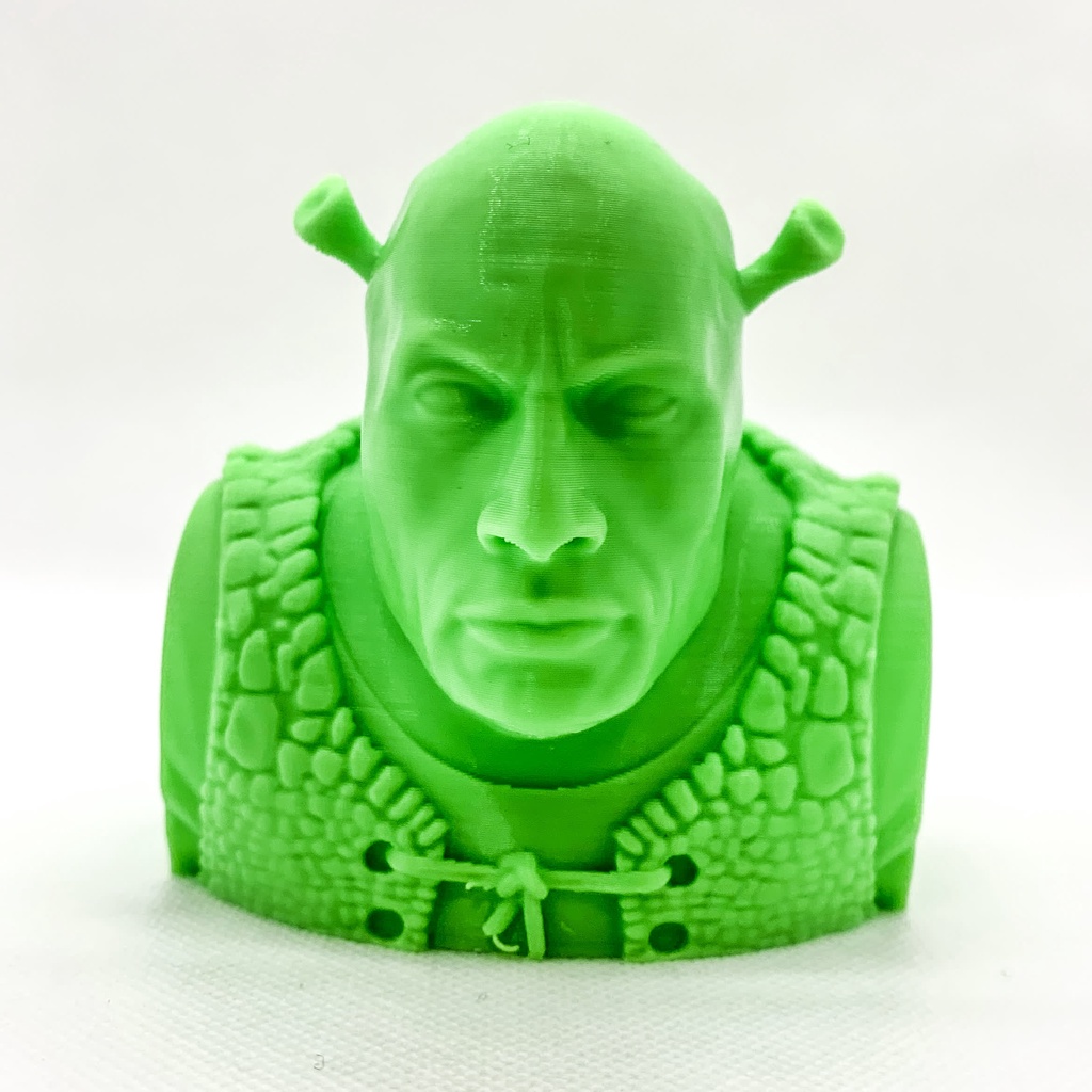 The Rock Shrek - Shrock - Meme Dwayne Johnson | Shopee Brasil