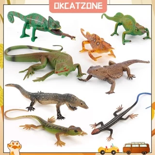 Okcatzone Brinquedo Educativo Simulação De Hibian Lagarto Modelo Criativo Crianças Brinquedo Cognitivo Precoce Educação Presentes