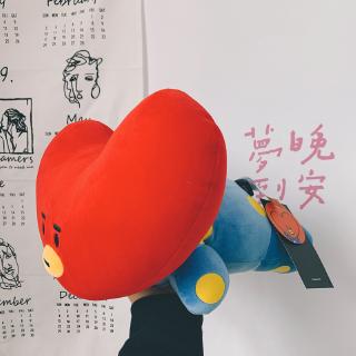 Tata sales plush bts