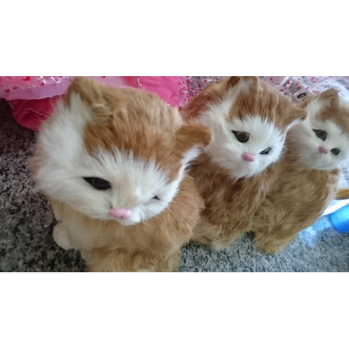 pelúcia gato para gatos internos - bola gato pelúcia fofinhos brilho com  sons chilrear animais realistas