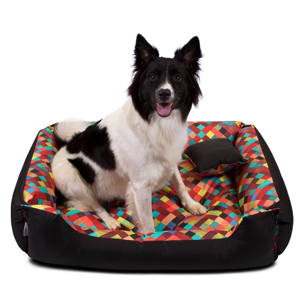 Cama para border collie hot sale