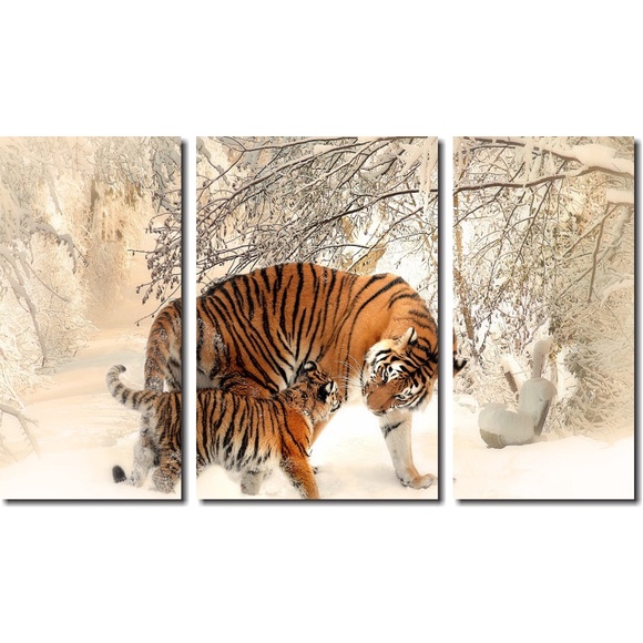 Quadros Decorativos Tigre Aguá E Fogo 120x60 3 peças em Teci