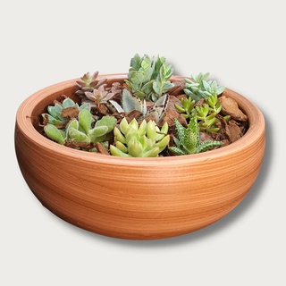 Vaso Bacia para Arranjos de Suculenta de Cerâmica Decorativo