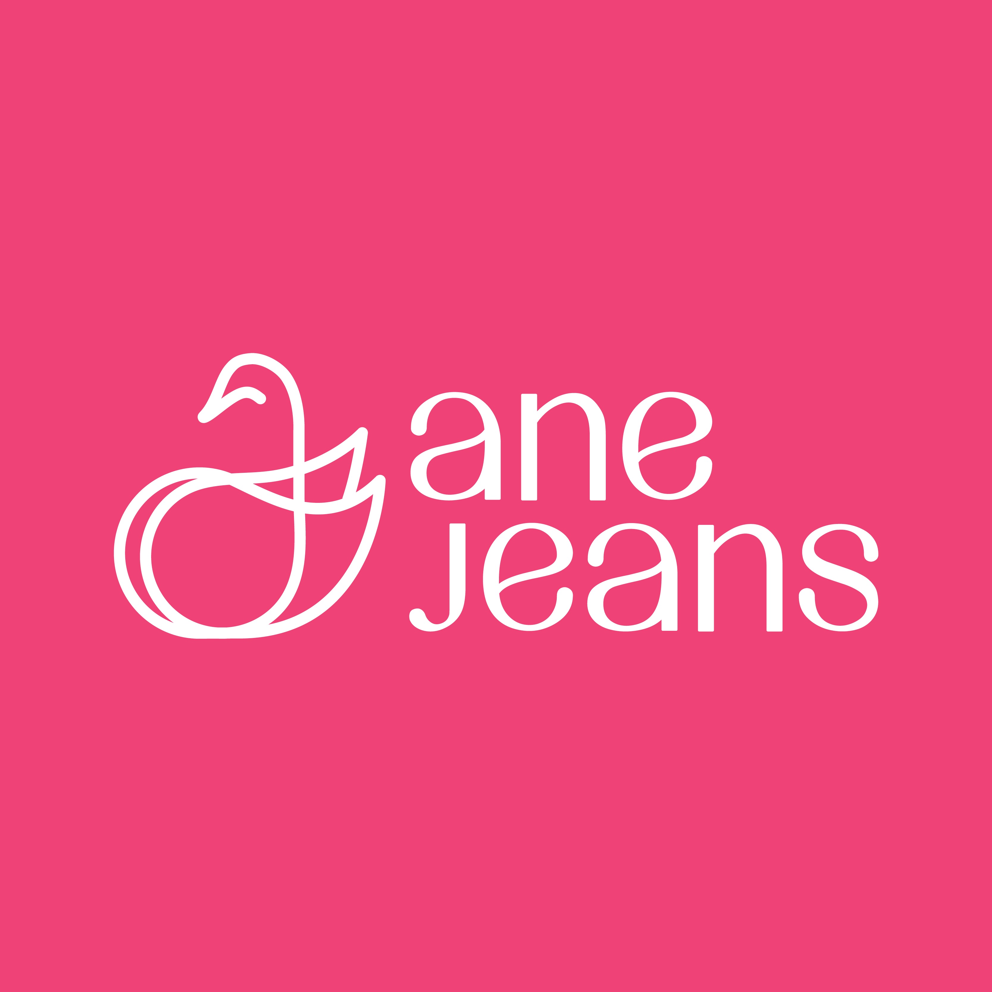Calça Jeans Ane Plus Size Wide Leg Premium Cleicieli Azul - Ane Jeans - 11  Anos
