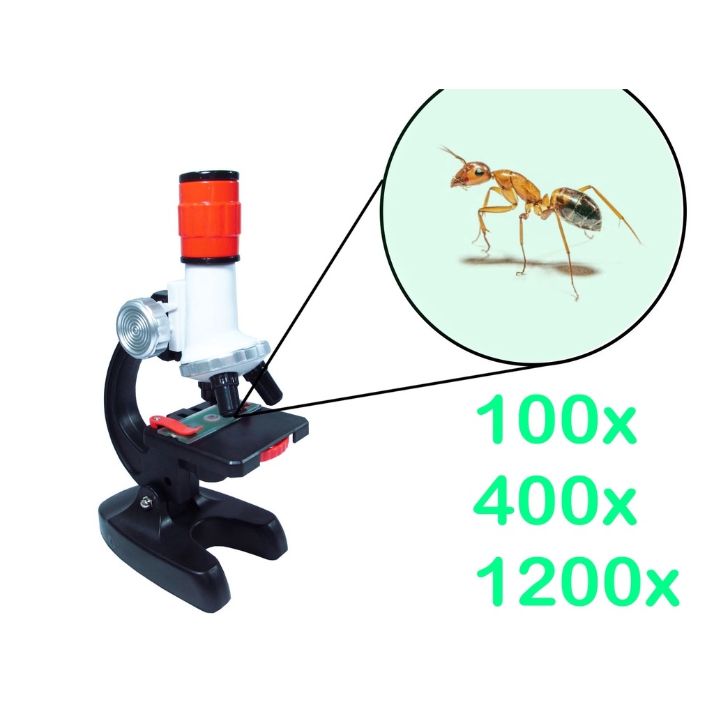 Microscópio Óptico - Aumento de 100x 400x e 1200x + Lâminas prontas