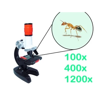 Microscópio Óptico - Aumento de 100x 400x e 1200x + Lâminas prontas