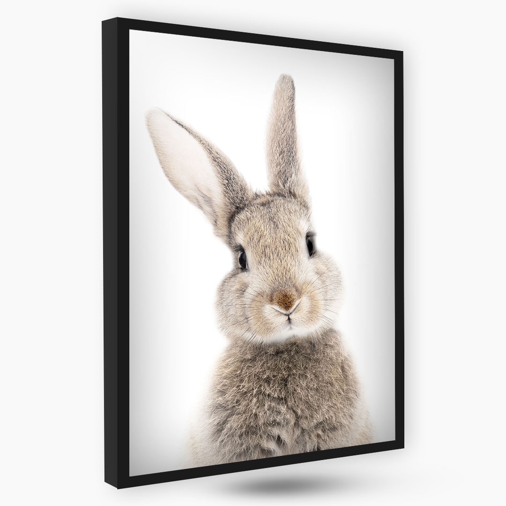 Quadros Decorativo Moderno Linha Gold com Moldura e rápida fixação
