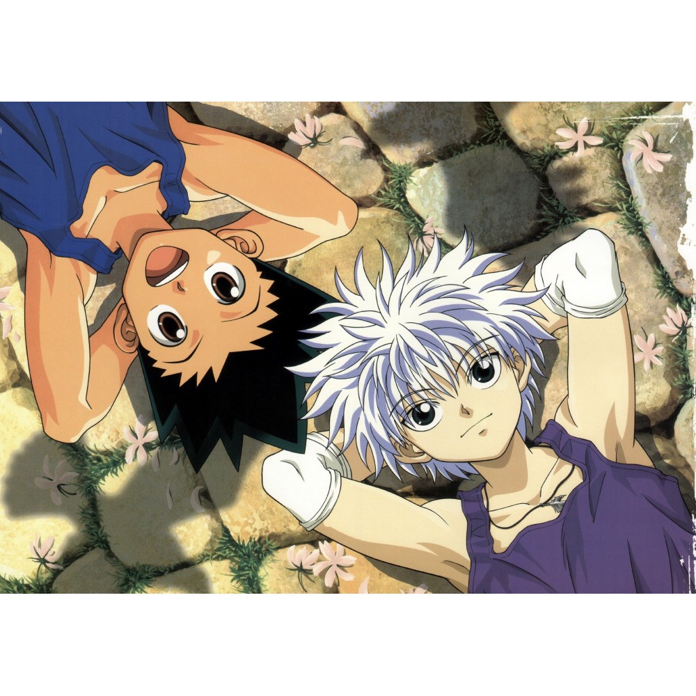 Quadro Metalizado Gon e Killua hunter x hunter Anime Placa Decorativa