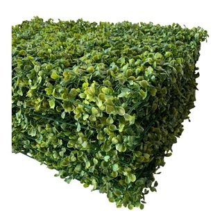 Kit 6 Placa Buxinho Artificial 40x60 Muro Inglês samambaia Flor Grama decoração
