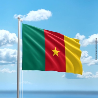 Bandeira Senegal Poliéster Oficial 150x90 Cm Copa Do Mundo - WCAN
