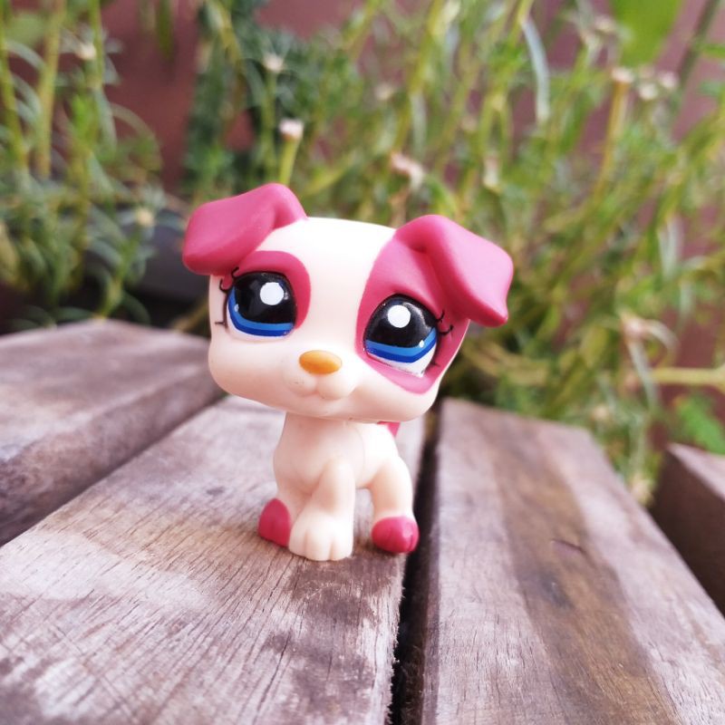 Littlest Pet Shop Jack Russel