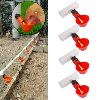 5 Bebedouro Automático aves galinha frango codorna copinho Niple barato promoção Com conexão T adaptador