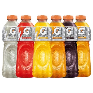 Kit com 12 unidades GATORADE sabores diversos envio imediato