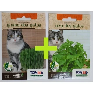 Kit de Sementes de Catnips e Grama dos Gatos - 1000 sementes e de Cada